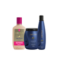 KIT HOME CARE LINHA A ANTIDANOS (3 PASSOS)