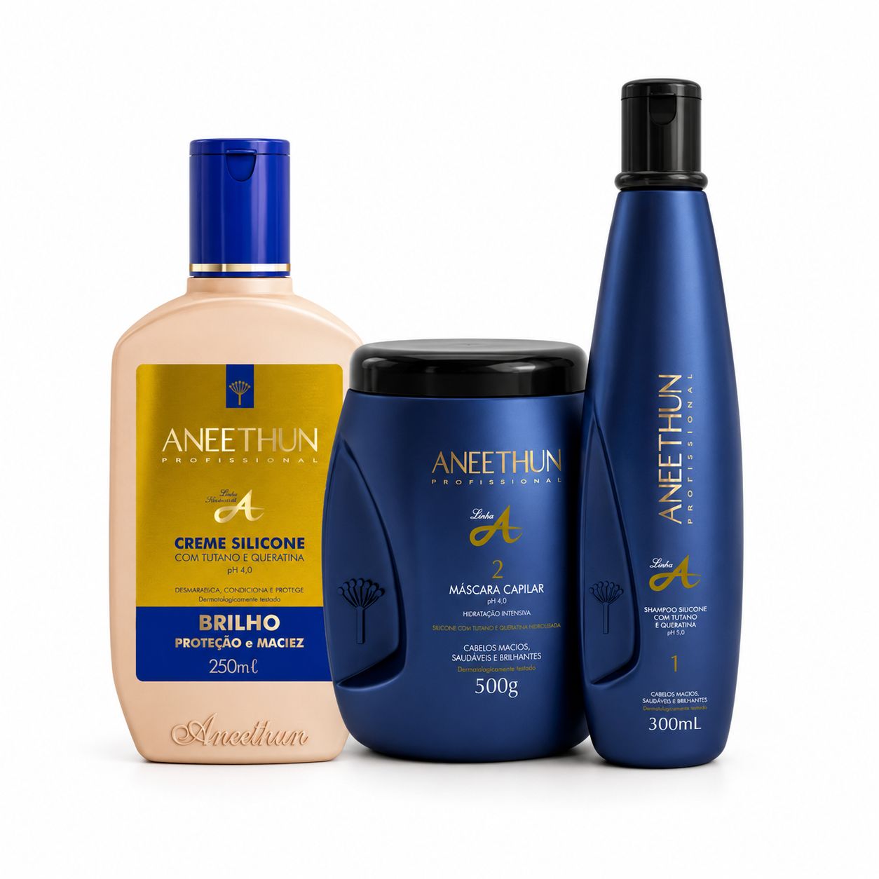 KIT HOME CARE LINHA A BRILHO (3 PASSOS)