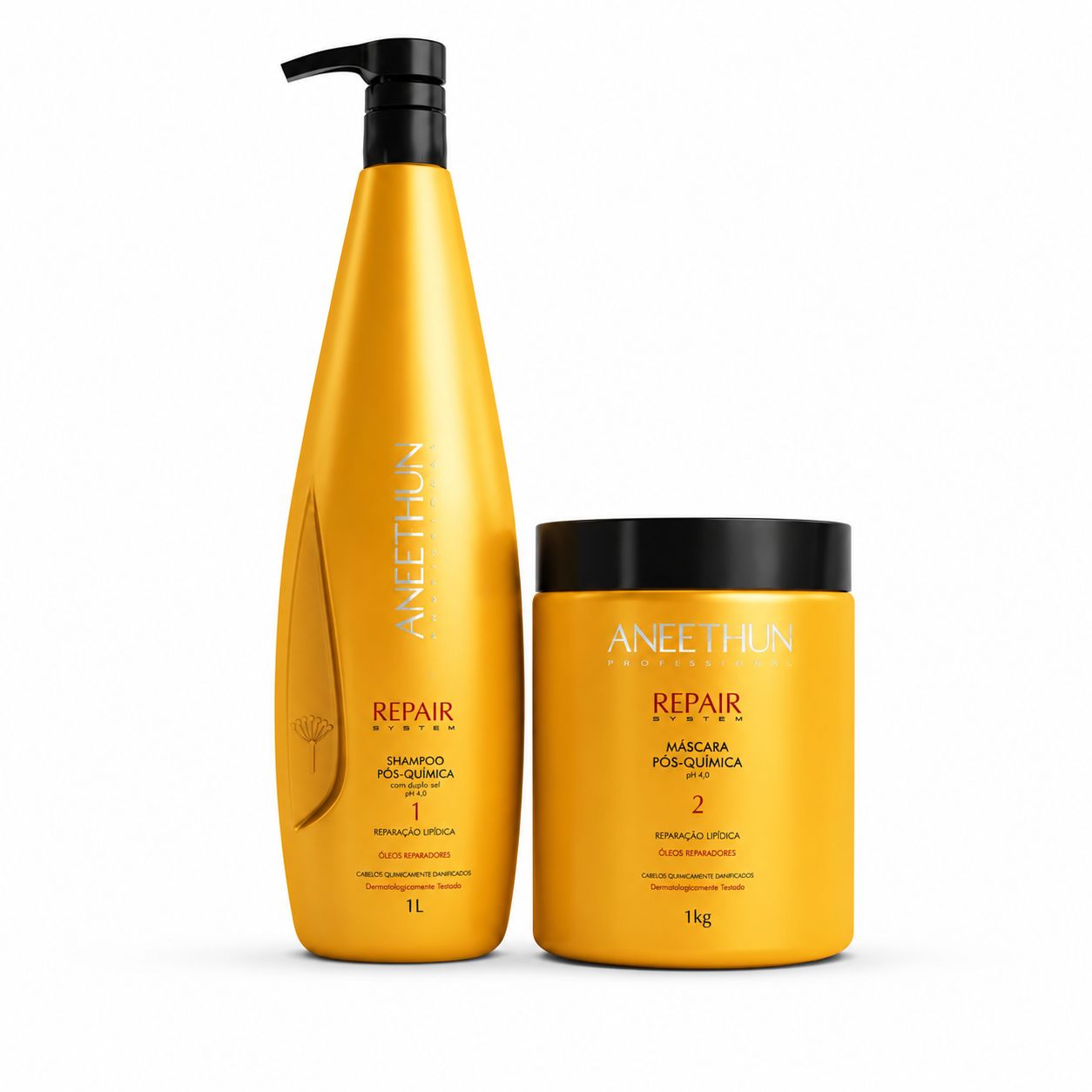 KIT REPAIR SYSTEM PROFISSIONAL - 1 L / 1 KG (2 PASSOS)