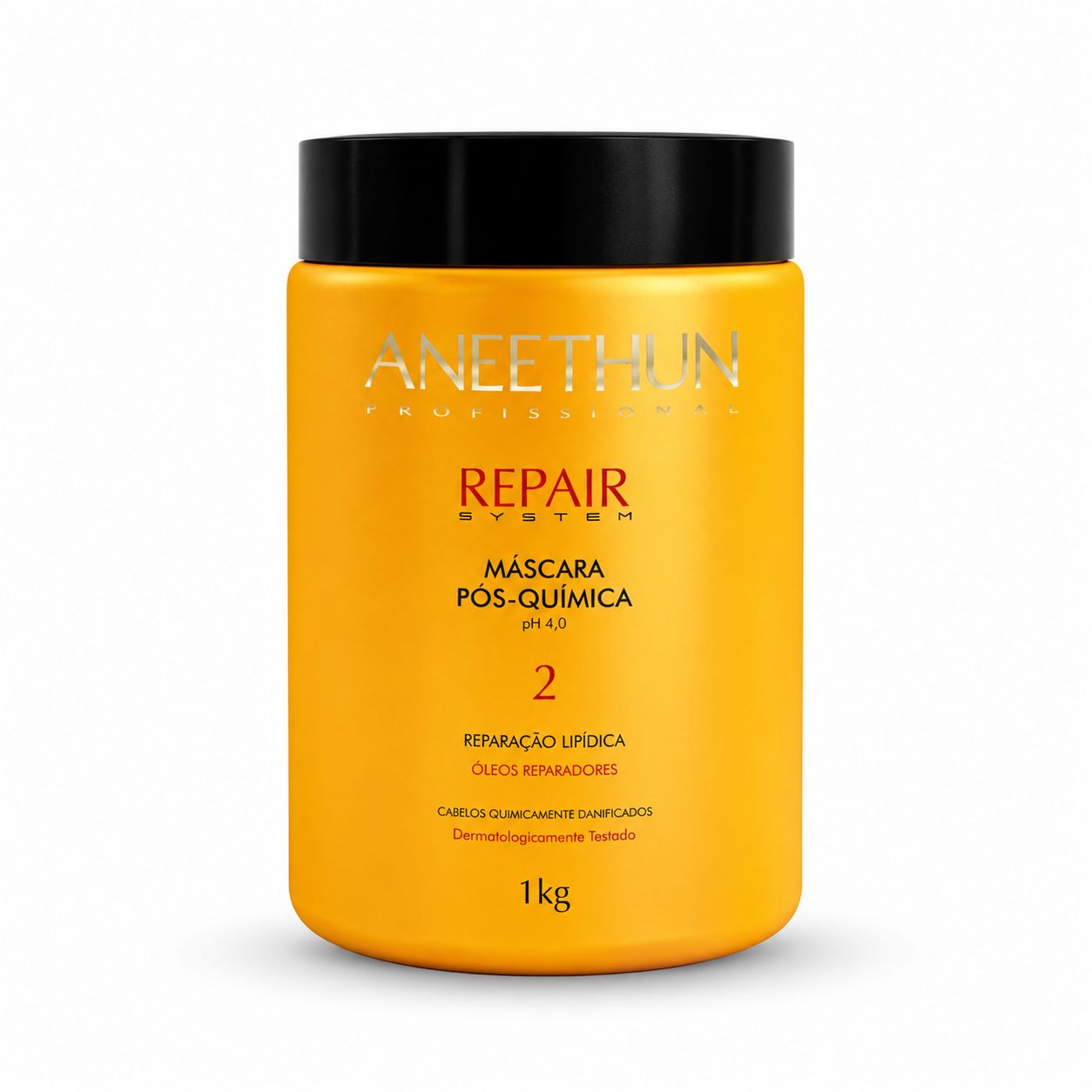 MÁSCARA REPAIR SYSTEM - 1 KG